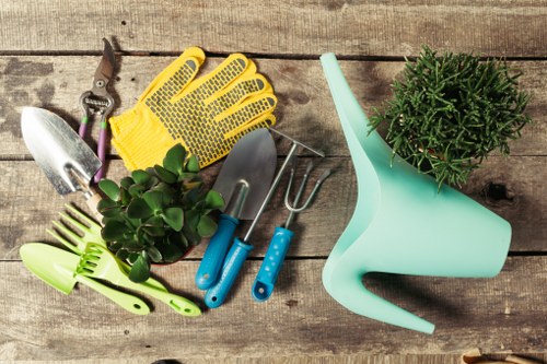 Professional tree lopping service in Kings Cross