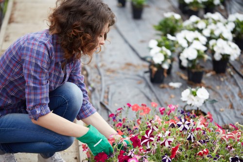 A woman wearing a blue plaid shirt, blue jeans, and green gardening gloves is kneeling on a garden path, tending to a bed of colorful flowering plants that include shades of deep pink, white, and purple. Behind her, there are rows of potted white flowers placed on the ground, suggesting an outdoor nursery or landscaped garden area in a rural or suburban setting. The garden features a mix of soil and mulch, with some areas covered by black landscape fabric, and the overall scene reflects a well-maintained outdoor space dedicated to gardening or plant cultivation, typical of professional gardening services in the Kings Cross area. The presence of natural daylight indicates mild, overcast weather, useful for nurturing outdoor plants and shrubs. This scene highlights the importance of careful planting and garden maintenance, aligning with services offered by Landscapers Kings Cross to enhance garden aesthetics and health.