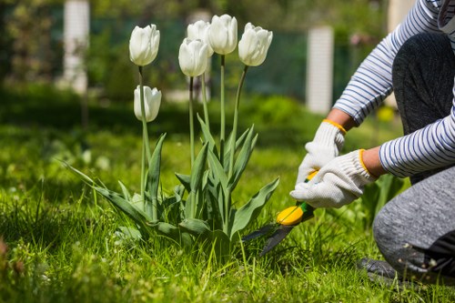 A gardener dressed in striped long-sleeve clothing and white gardening gloves is using pruning shears to trim a white tulip among a flower bed in a well-maintained garden. The garden features a lush, green lawn with a dense border of tulips and other plants, and a backdrop of further greenery and trees. The scene is captured outdoors in natural daylight, suggesting a bright, possibly spring day. The setting showcases a landscaped outdoor space characteristic of residential gardens within the Kings Cross area, highlighting typical features such as flower beds, a grassy area, and mature plants, which are services often provided by Landscaping Kings Cross to maintain and enhance outdoor garden aesthetics.