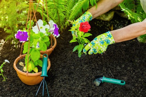 In a well-maintained garden, a gardener's hands are visible wearing colorful gardening gloves as they plant a red flowering plant into rich, dark soil. Near the gardener, there are two hanging terracotta pots supported by wooden plant supports, each containing vibrant purple and white flowers, possibly pansies or petunias. A small hand rake and pruning shears are placed on the soil surface, ready for use. The background includes lush green foliage and various ferns, creating a serene outdoor setting. The garden appears to be in a landscaped backyard, with a focus on planting and soil preparation, indicating ongoing gardening or planting work to enhance the greenery and colour in the space. The image emphasizes careful planting, garden maintenance, and the care involved in outdoor gardening services typical of a professional landscaper in Kings Cross or nearby London areas.