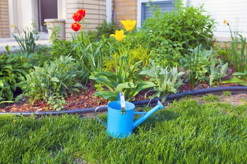 The image depicts a well-maintained residential garden with a lush, green lawn in the foreground, showing dense, evenly cut grass. Behind the lawn, there is a flower bed edged with black plastic border, containing a variety of flowering plants and shrubs. Bright red tulips and yellow daffodils are prominently visible, alongside leafy green foliage and flowering plants of different heights, creating a vibrant and natural colour palette. The background reveals a white garden shed or conservatory with a blue frame, partially obscured by the dense plants. A blue garden watering can, positioned on the grass, suggests ongoing outdoor maintenance typical of professional gardening services such as those provided by Landscapers Kings Cross. The environment appears sunny, with natural daylight illuminating the garden, indicating good weather suited for outdoor gardening activities. Overall, the scene reflects a thoughtfully landscaped outdoor space, ideal for relaxing or entertaining, showcasing key elements like healthy lawns, diverse plantings, and neat borders, aligning with typical garden and landscaping projects in the Kings Cross area.
