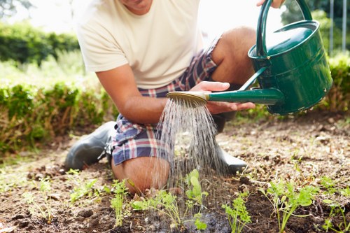 A person crouching in a landscaped garden bed, watering young plants with a green watering can. The garden features a mix of soil and small, emerging greenery, with a neatly maintained lawn area visible in the background. The scene is outdoors on a bright, sunny day, with natural light illuminating the garden's natural tones of green, brown, and earthy textures. The individual is dressed casually in a light-colored T-shirt and plaid shorts, actively nurturing the garden, which aligns with gardening and outdoor maintenance services offered by Landscapers Kings Cross. The environment suggests a well-kept residential outdoor space, emphasizing sustainable gardening practices that support recycling and sustainability efforts in local landscaping projects around London.