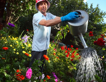 A man with a beard dressed in a light blue shirt and wearing a wide-brimmed hat waters a garden with a black watering can, surrounded by various colourful flowering plants and green foliage. The garden features a mix of flower beds with red, pink, purple, and yellow blooms, alongside lush green grass and shrubs. In the background, tall trees with dense leaves provide shade, and the scene appears to be outdoors on a clear day, with natural daylight illuminating the vibrant garden landscape. The man’s activity and the well-maintained garden reflect professional outdoor maintenance and gardening services often associated with landscaping providers such as Landscapers Kings Cross, serving urban environments in the Kings Cross area.