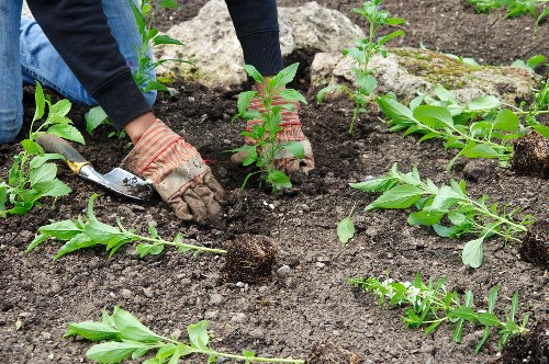 Increased property value through landscaping