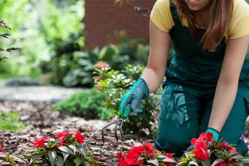 Clean and well-maintained garden after professional clearance
