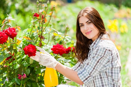 A young woman with long brown hair wearing a light-colored, checked shirt and gardening gloves is tending to a vibrant rose bush in a garden, using a yellow spray bottle to water or mist the red and pink roses. The garden features a neatly maintained lawn area with dense, green grass, and various plants and shrubs surrounding the flower bed. In the background, there are trees with lush green foliage and a bright, sunny atmosphere indicating good weather. The scene is set in an outdoor space typical of a well-kept residential garden in Kings Cross, with natural light highlighting the colorful blossoms and greenery, reflecting professional gardening and landscaping practices by Landscapers Kings Cross.