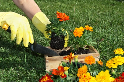 A person wearing yellow gardening gloves is using a small hand trowel to plant a bright orange flowering plant into a rectangular wooden planter box situated on a well-maintained green lawn. Surrounding the planter are multiple marigold flowers with vibrant orange and yellow blooms, creating a colorful border. In the background, there's a lush garden area with a neatly mown grass surface, possibly part of a landscaped outdoor space in Kings Cross. The scene is outdoors under natural daylight, suggesting a warm, clear day suitable for gardening activities. The overall setting highlights a typical garden layout with the focus on planting and tending to flower borders, reflecting professional gardening and landscaping care likely offered by Landscapers Kings Cross.
