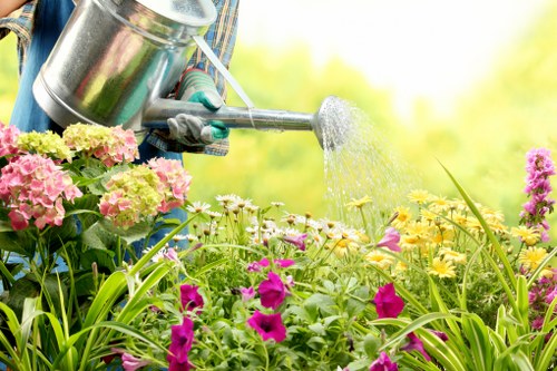 A gardener watering a vibrant flower bed in a landscaped outdoor garden, with pink, yellow, and purple flowers and lush green foliage in the foreground. The garden features well-maintained plant beds bordered by soil and grass, with a background of trees and natural outdoor lighting suggesting a bright, sunny day. The scene reflects typical elements of a carefully designed garden space within a residential or commercial landscape, suitable for gardening and outdoor maintenance services offered by Landscapers Kings Cross in the London area near N1 postcode.