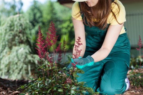 Well-maintained garden with pruning and weed control