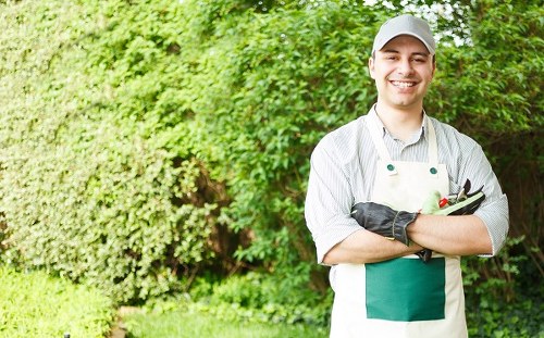A professional gardener from Landscapers Kings Cross standing in a well-maintained outdoor garden area with dense greenery and shrubbery in the background. The scene features a neatly trimmed lawn in the foreground, edged by a paved path or patio area, with various plants and trees creating a lush, natural environment. The gardener is wearing a grey cap, a light striped shirt, and an apron, holding gardening tools, and smiling at the camera. The outdoor space appears to be part of a landscaped yard in Kings Cross, with a focus on garden maintenance and plant care. The weather conditions are clear, suggesting a bright, sunny day suitable for outdoor gardening work. This setting illustrates typical elements of a residential garden that could benefit from professional planting or landscape services.