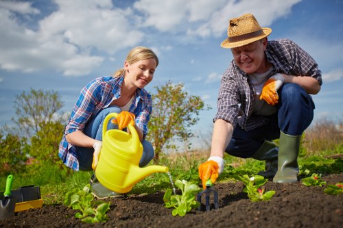 A young woman and an older man are working together in a well-maintained garden, planting young green plants in rich, dark soil. They are both wearing casual gardening clothes, including gloves, and are smiling as they tend to the garden beds. The garden features neatly arranged planting areas with several small, leafy plants growing in rows. In the background, there are grassy areas, bushes, and a partly cloudy blue sky, indicating a sunny day with good weather. The scene reflects outdoor gardening activities suitable for residential gardens and aligns with sustainable gardening practices, relevant to services offered by Landscapers Kings Cross in the London area, near postcode N1 in the town of London.