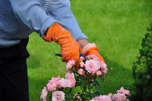 A gardener wearing a blue long-sleeved top and bright orange gardening gloves is pruning or tending to a cluster of pink roses in a well-maintained garden, with a lush green lawn and neatly trimmed hedge in the background. The flower bed features healthy, blooming roses with soft pink petals, contrasting against the vibrant green foliage. The scene is outdoors on a clear day, with natural lighting highlighting the colours of the flowers and greenery. This setting reflects professional gardening and landscaping standards typical of a garden cared for by a local landscapers firm in Kings Cross, ensuring functional and aesthetically pleasing outdoor spaces for clients.