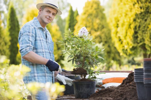 A man dressed in a light blue checkered shirt, wearing a straw hat and gardening gloves, is working outdoors in a garden setting. He is tending to a potted flowering plant, possibly a hydrangea, which has green leaves and clusters of white flowers. The garden features a well-maintained lawn with lush, dense grass in the foreground and background. Surrounding the scene are neatly trimmed shrubbery and tall, leafy trees with vibrant green foliage, indicating a healthy landscape. The weather appears sunny with natural daylight illuminating the scene, creating a warm and inviting atmosphere. The garden area includes a soil bed and gardening tools, suggesting ongoing planting or maintenance activity. This outdoor space is part of a landscaped garden in a residential area, which could be serviced by companies like Landscapers Kings Cross, providing gardening and outdoor maintenance solutions. The overall environment emphasizes a neat, organized garden with a focus on plant health and aesthetic appeal, consistent with professional gardening services in the local area near Kings Cross, London.