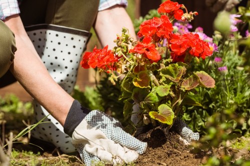 Comprehensive lawn care services