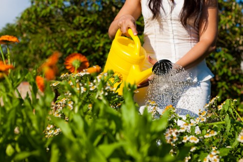 Sustainable landscape gardening practices in Kings Cross