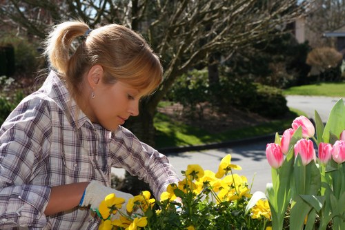 A woman with blonde hair tied back in a ponytail, wearing a plaid shirt and gardening gloves, is tending to a flower bed in a residential garden. She is reaching towards vibrant yellow and pink tulips, which are in full bloom, with the yellow flowers positioned in the foreground and the pink tulips slightly further back. The garden features a neatly maintained lawn, a paved pathway, and a large tree with bare branches indicating early spring. In the background, there are additional shrubs, garden elements, and a sunny sky providing bright natural lighting. This outdoor space reflects typical gardening and lawn care practices, supported by local landscaping services such as those offered by Landscapers Kings Cross, who specialise in garden maintenance and planting in the local area around Kings Cross and postcode NW1.