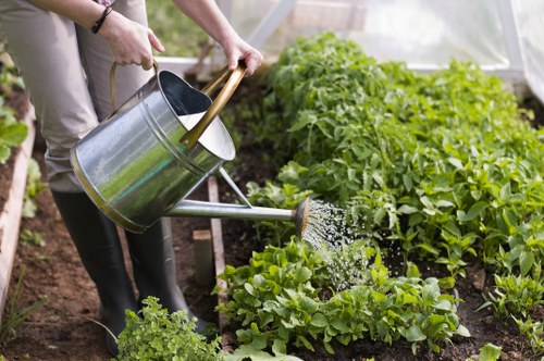 In a well-maintained garden space, a person is watering lush, green leafy plants with a metal watering can, ensuring they receive adequate moisture for healthy growth. The garden features a variety of garden beds with rich, dark soil, bordered by wooden supports, and filled with vibrant, thriving foliage. The background includes additional rows of dense, healthy plants and a partially visible greenhouse structure, indicating a productive outdoor environment typical of a residential garden in the Kings Cross or nearby London area. The scene is illuminated by natural daylight, suggesting a clear, mild weather day, suitable for outdoor gardening activities. This image highlights basic plant care routines that might be part of professional gardening services offered by Landscapers Kings Cross, from watering and nurturing to maintaining lush lawn and garden beds. The overall setting emphasizes attention to plant health, proper watering techniques, and careful garden layout, aligning with the company's expertise in garden maintenance and landscaping.