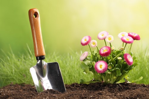 Professional garden clearance services in action